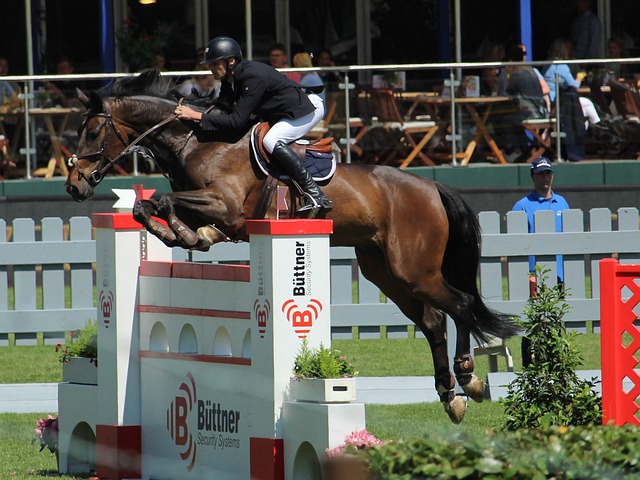 验的球员往 验的球员往