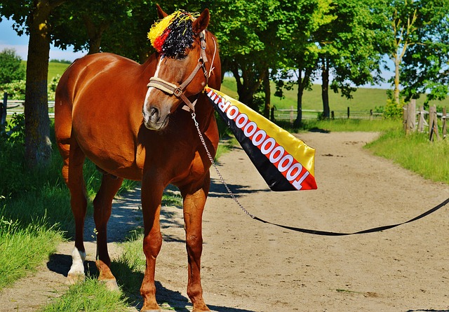 大连英博则 大连英博则