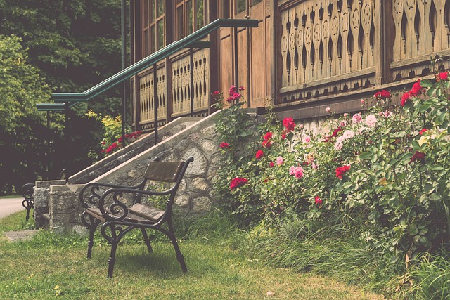 積極進攻的 積極進攻的